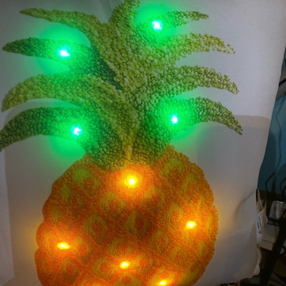 19”x19”pillow w a light up pineapple